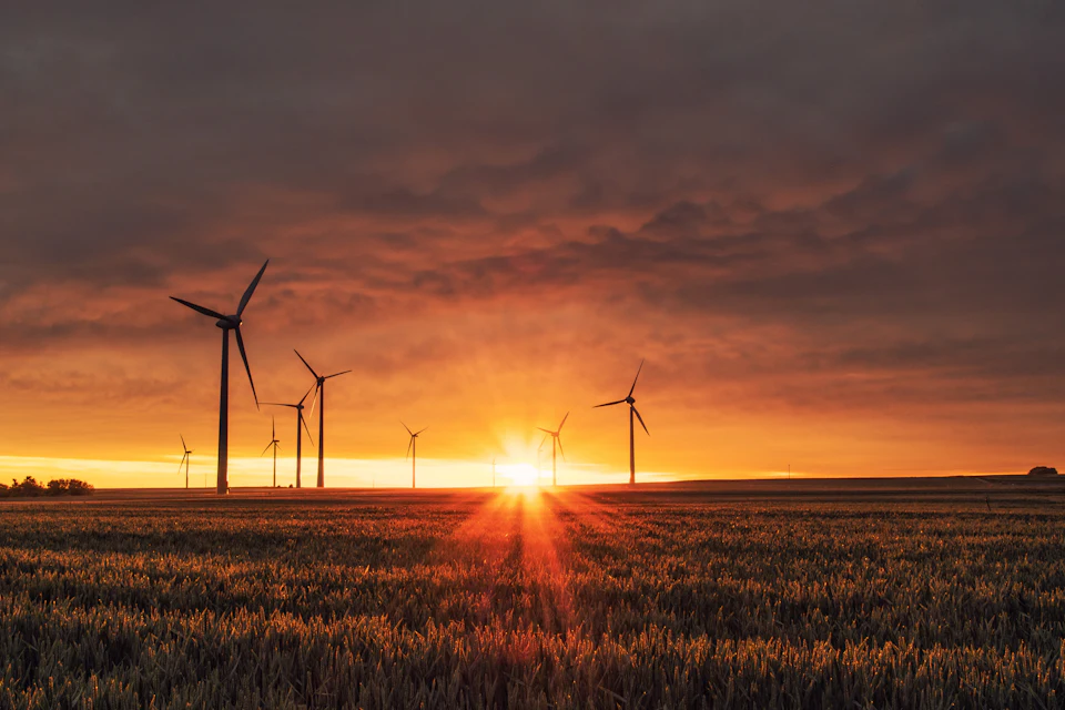 Wind turbines at sunset over a field